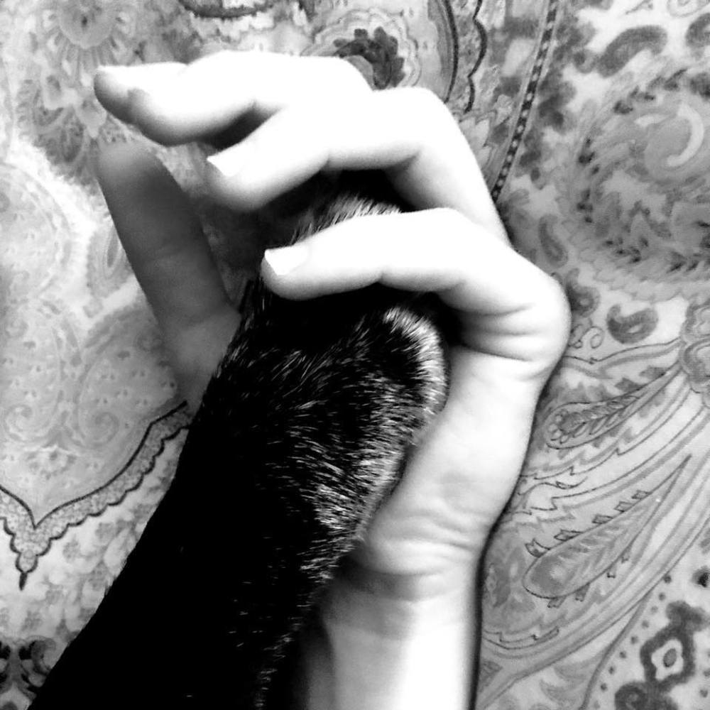 Meet your Posher, Caroline